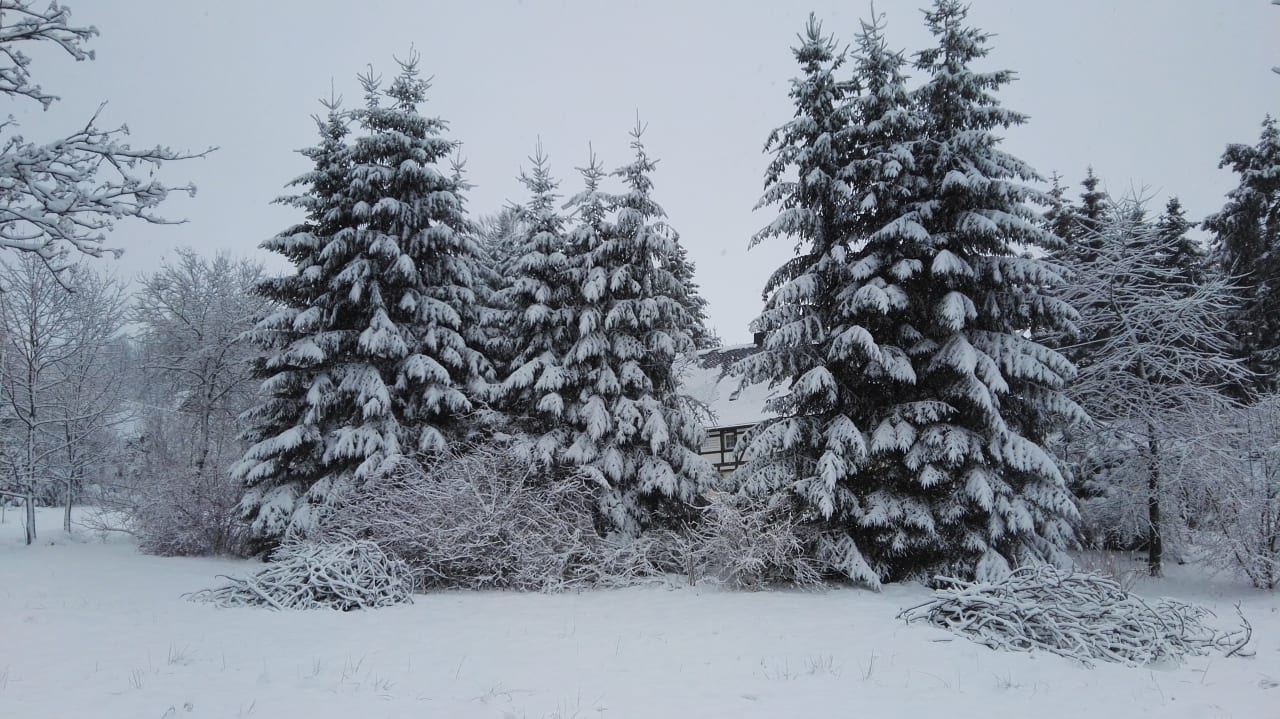 Gartenanlage Naturhotel Lindenhof