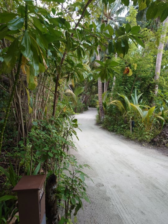 Gartenanlage Kihaa Maldives