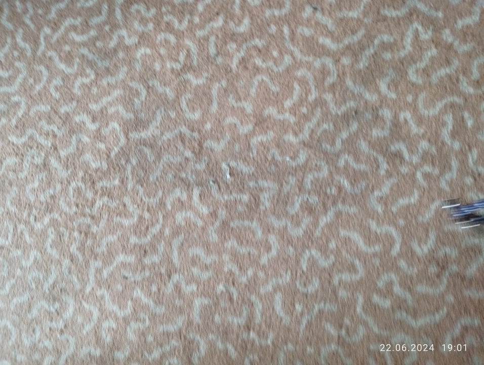 Zimmer SAVOY Hotel Bad Mergentheim