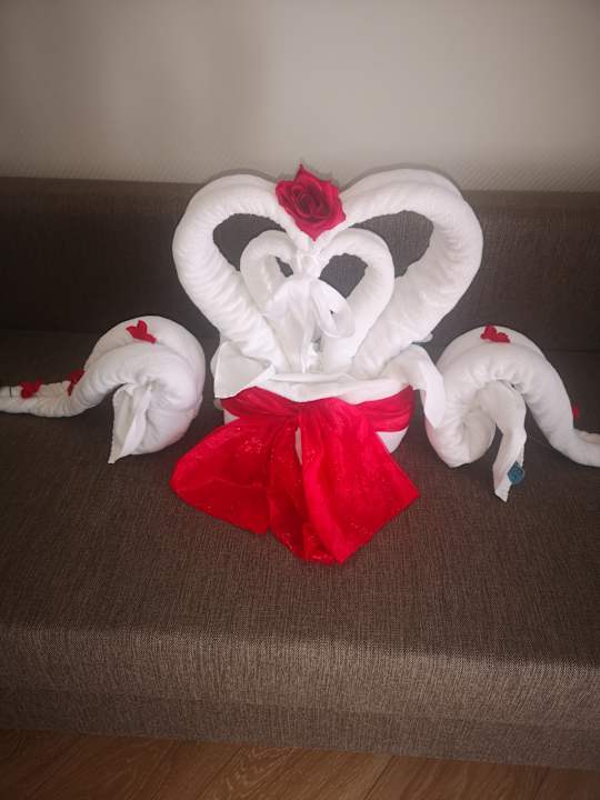 Zimmer Delphin Deluxe Resort