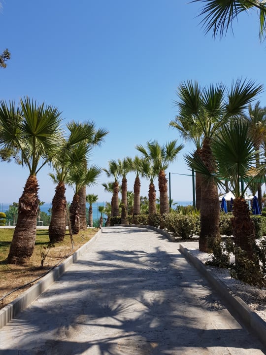 Gartenanlage Rodos Princess Beach Hotel & Spa