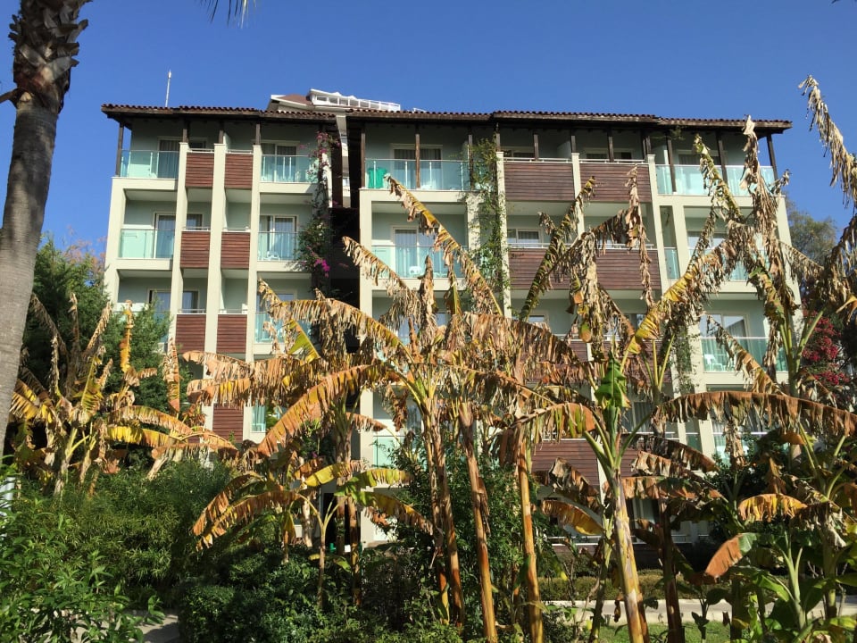 Haus Nr. 5 Sealife Buket Resort & Beach