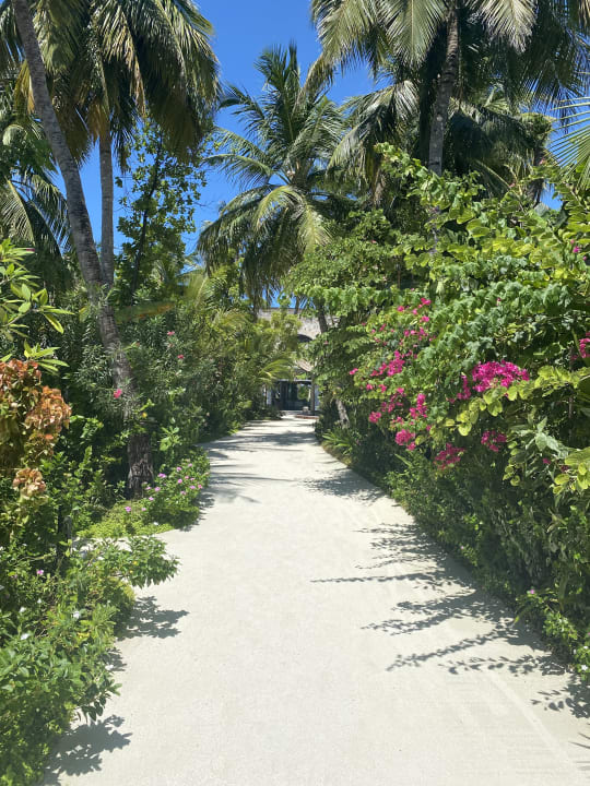 Gartenanlage Outrigger Maldives Maafushivaru Resort