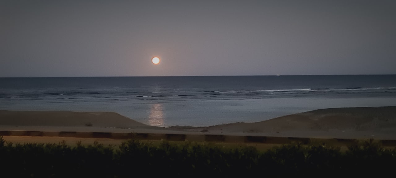 Ausblick Malikia Resort Abu Dabbab