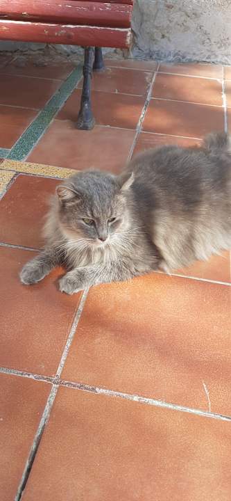 Pool Club Hotel Drago Park