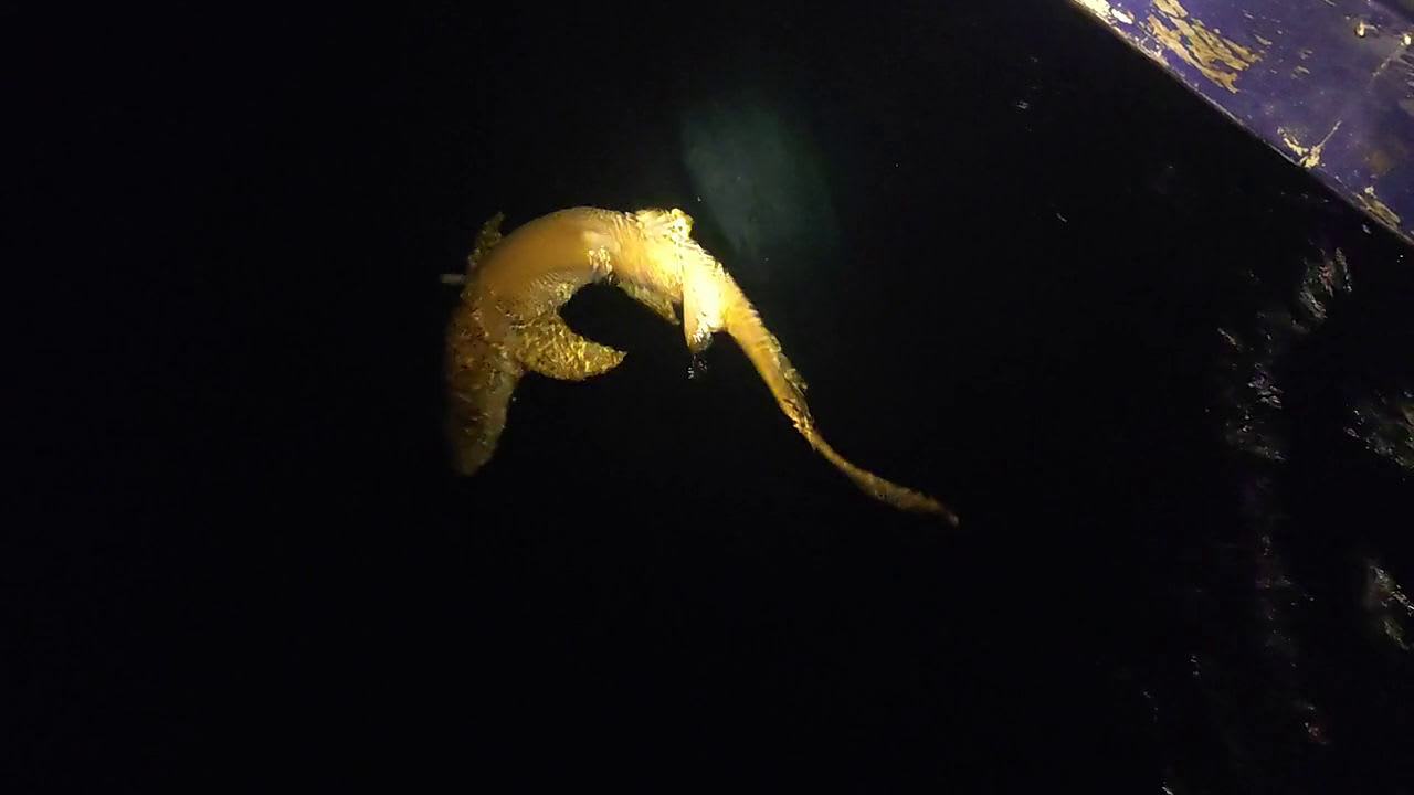 Ausblick Embudu Village