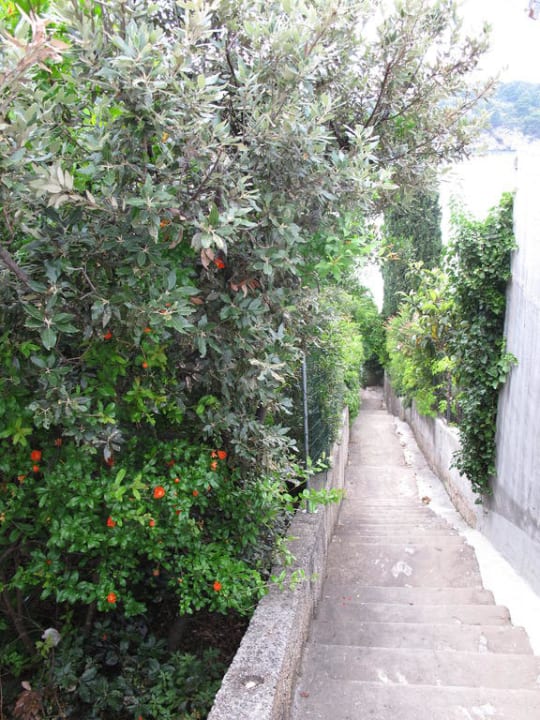 Downstairs Villa Paradiso