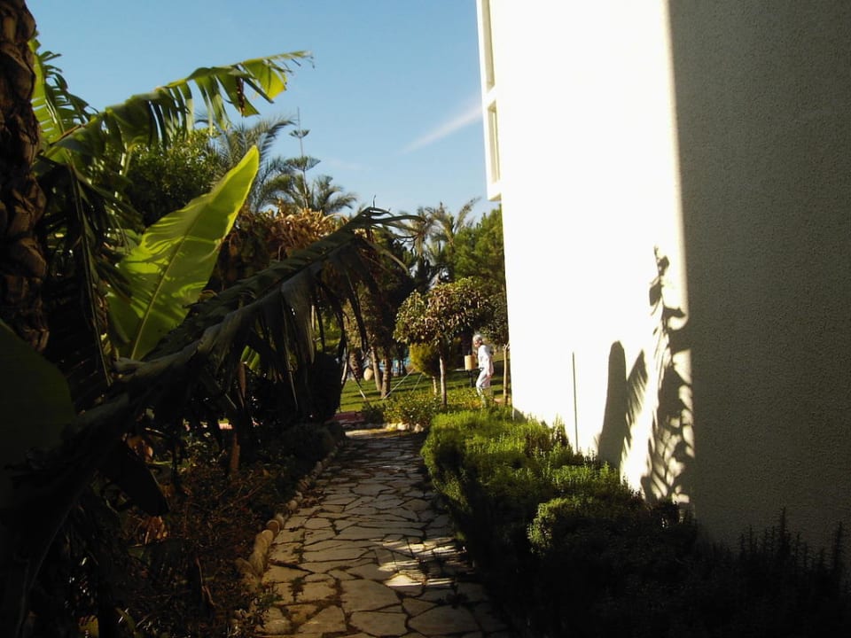 Zugang zum Pool PALOMA Perissia