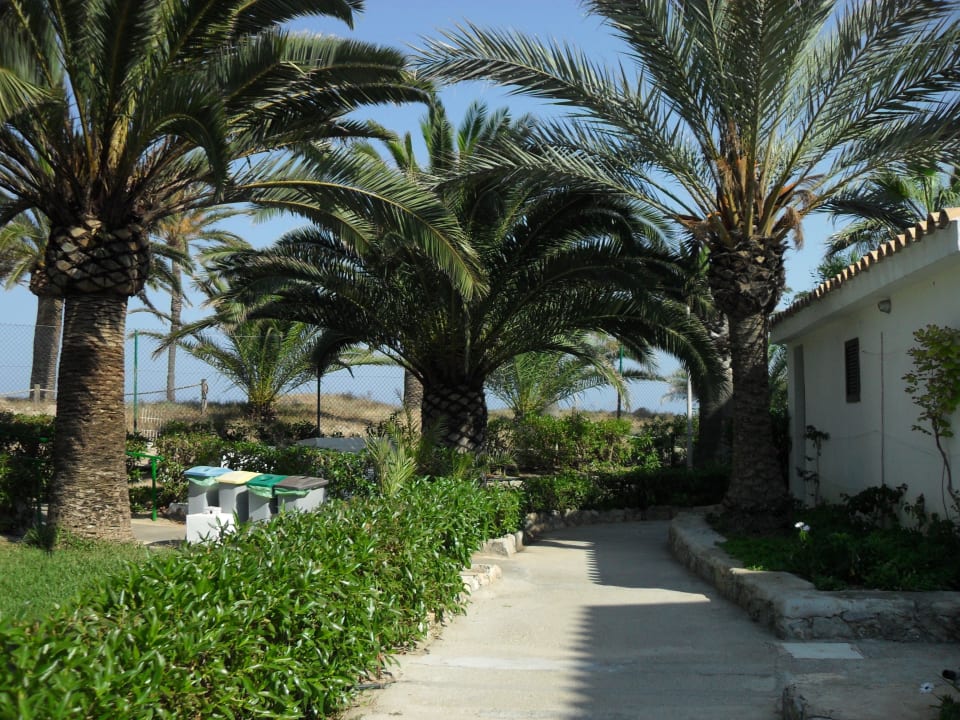Weg zum Meer FERGUS Style Bahamas