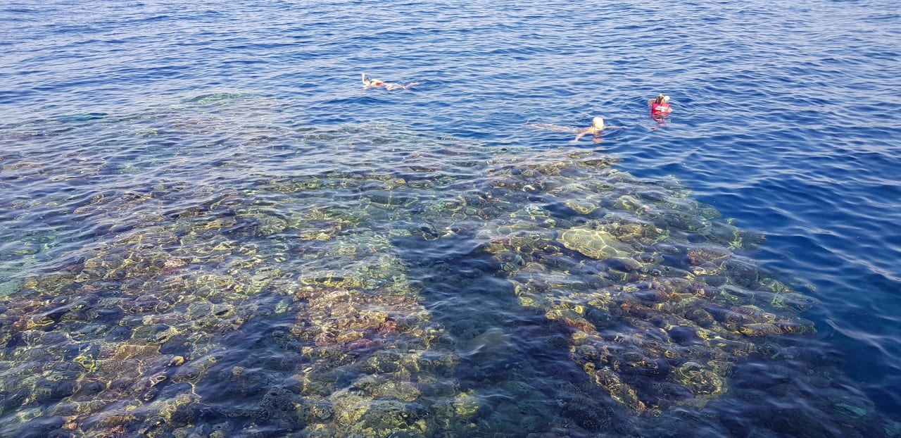Strand TUI MAGIC LIFE Kalawy