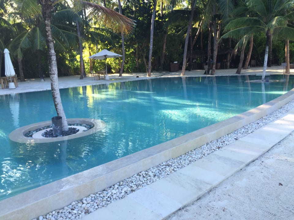 Schöner Pool Gili Lankanfushi Resort
