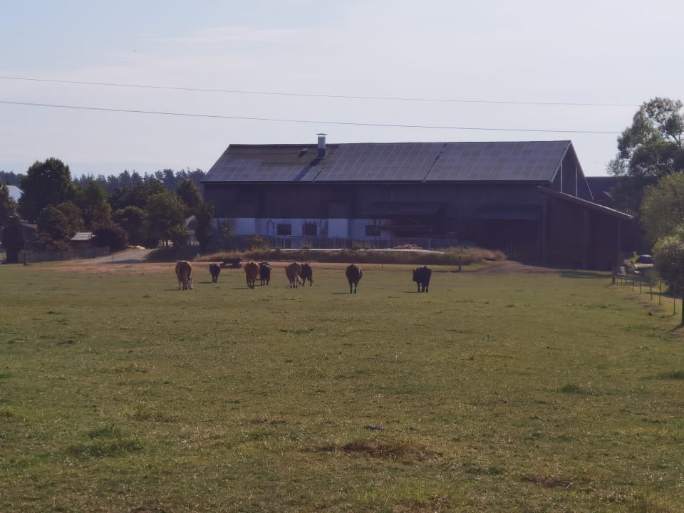 Gartenanlage Urlaub am Regen - Ferienhof Dirnberger