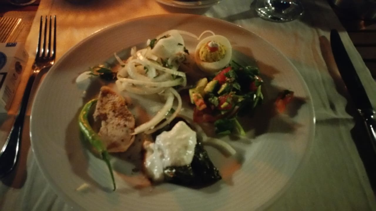 Gastro TUI MAGIC LIFE Beldibi +16