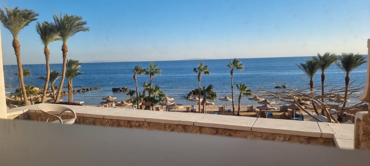 Zimmer Pickalbatros Citadel Resort