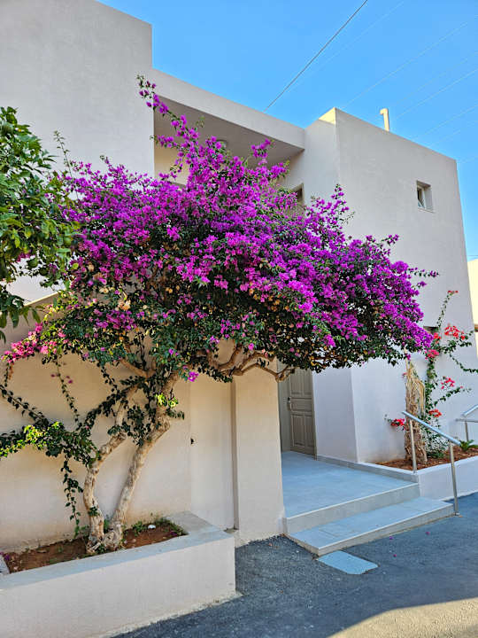 Gartenanlage Eurohotel Katrin Hotel & Bungalows
