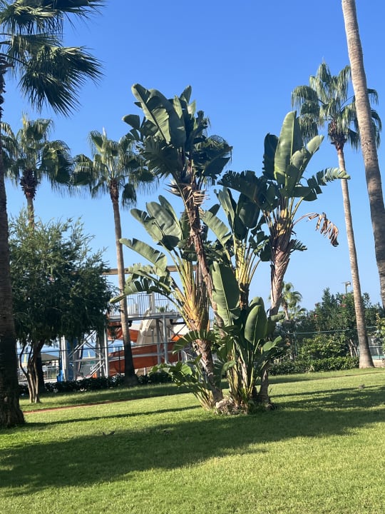 Gartenanlage Seher Kumköy Star Resort & Spa