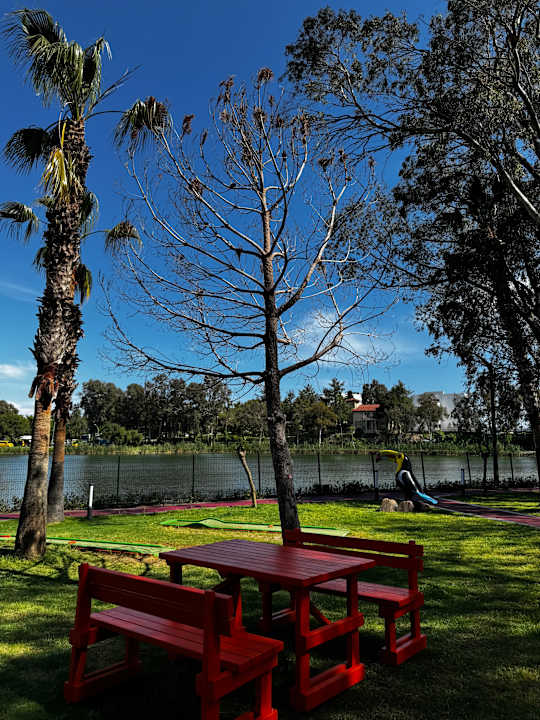 Gartenanlage Megasaray Resort Side