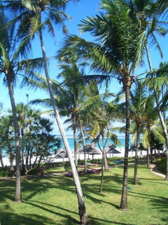 Blick vom Balkon auf den Strand Hotel Southern Palms Beach Resort