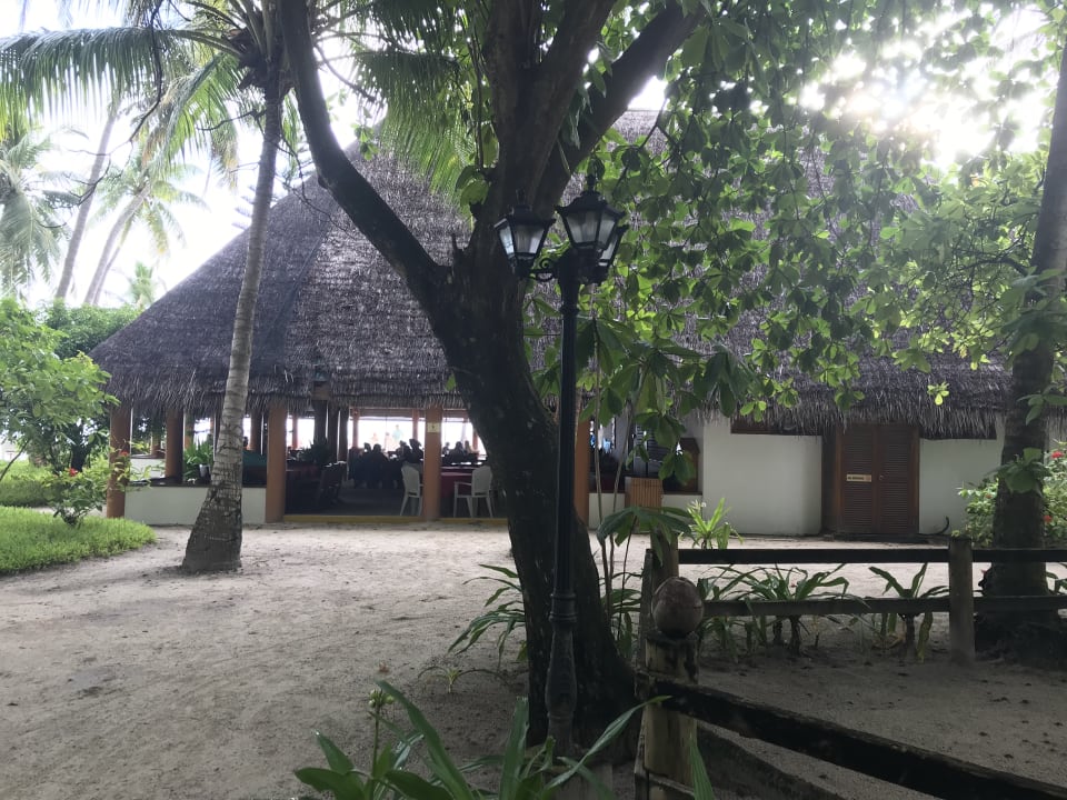 Gastro Fihalhohi Maldives