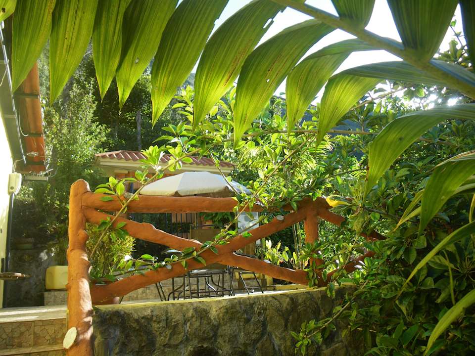 Terraza B&B La Casa Amarilla