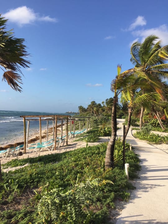 Strand Akumal Bay Beach & Wellness Resort