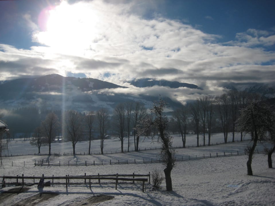 View from room Pension Haus Maria