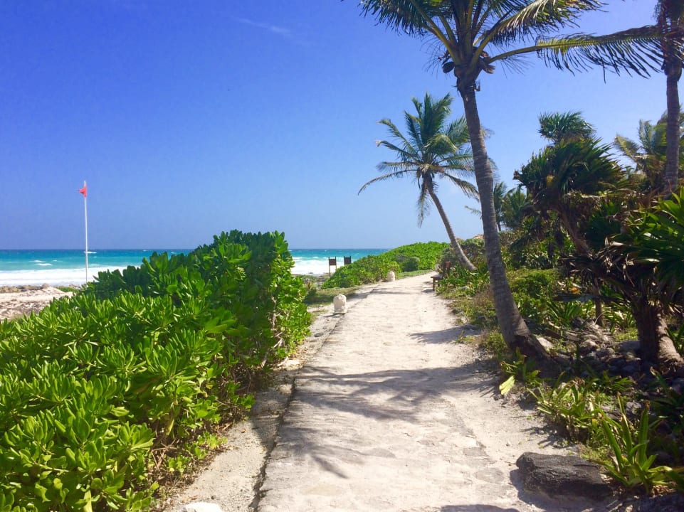 Weg zum Meerwasserpool Grand Palladium Select White Sand Resort & Spa