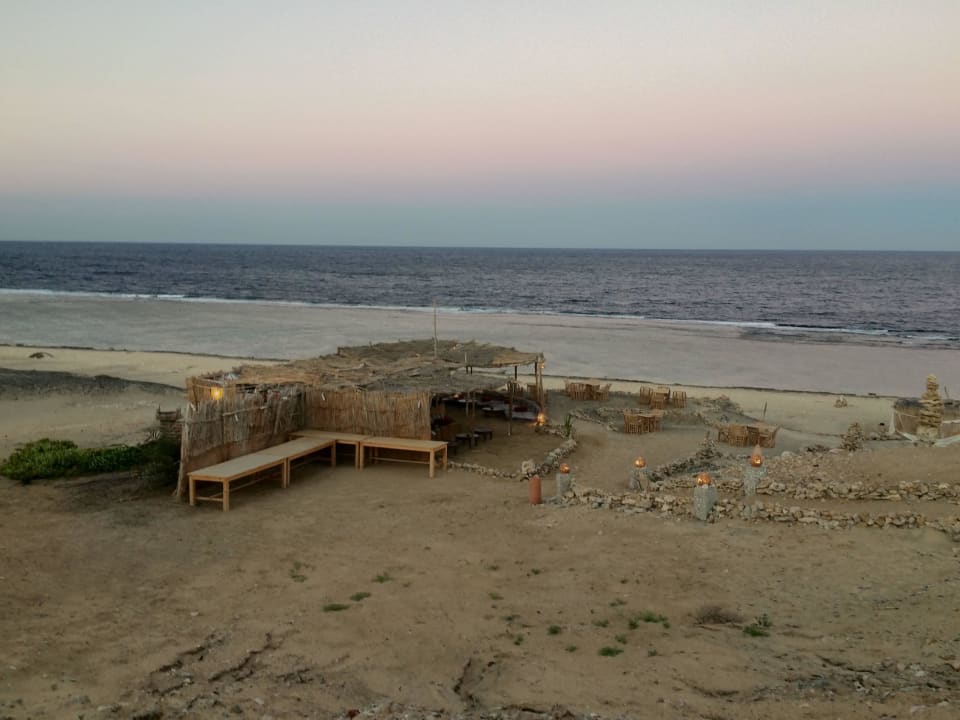 Blick vom Pool aufs Beduinenzelt The Oasis Dive Resort