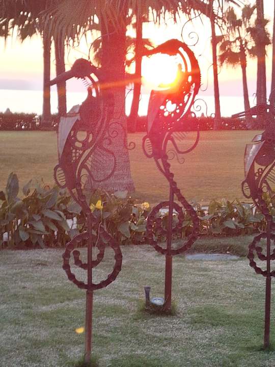 Sonstiges Acanthus Cennet Barut Collection