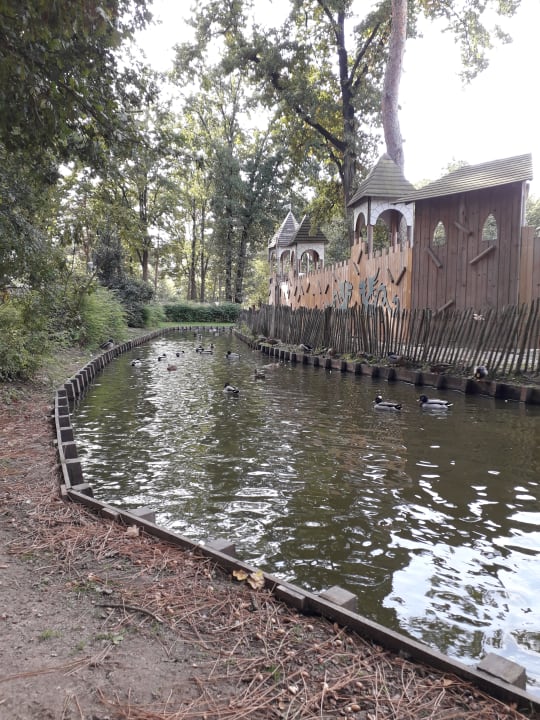 Sport & Freizeit Ferienpark Landal De Lommerbergen