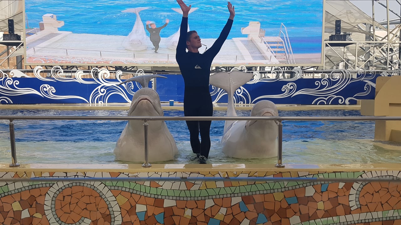 Sport & Freizeit The Land of Legends Kingdom Hotel