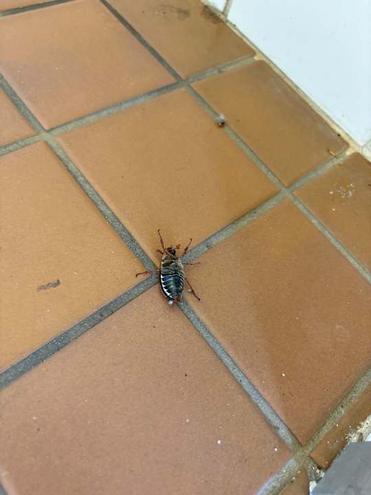 Sonstiges Oostappen Vakantiepark Arnhem