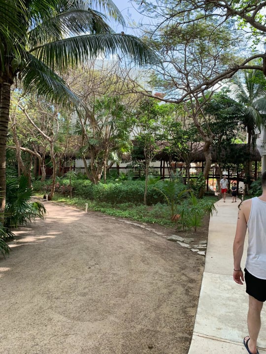 Gartenanlage Akumal Bay Beach & Wellness Resort