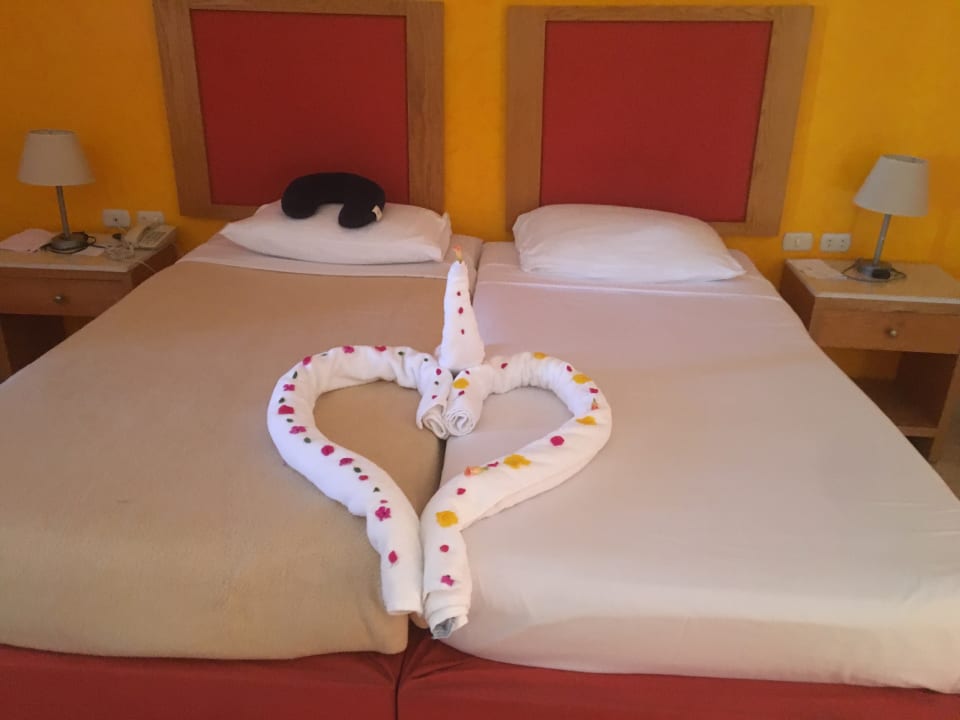 Zimmer Hotel Gorgonia Beach Resort