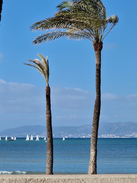 Strand Grupotel Acapulco Playa - Adults Only