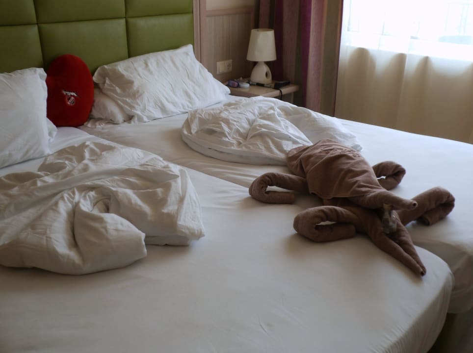 Von der Putzfee GRIFID Vistamar