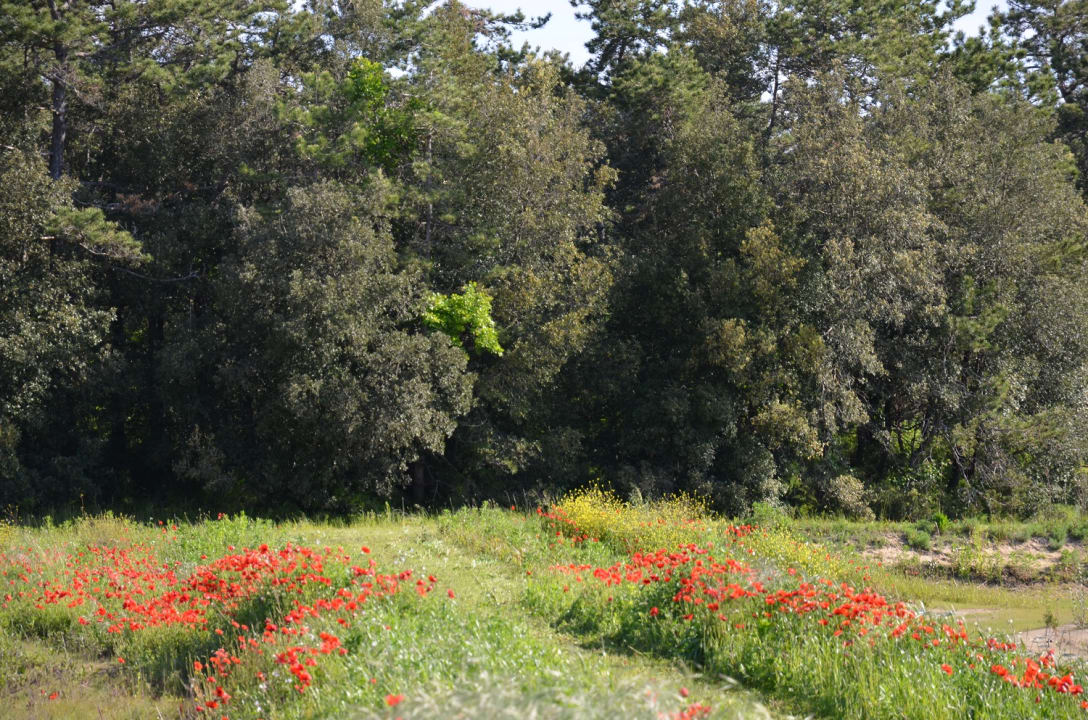 Gartenanlage Lino delle Fate - Eco Village Resort