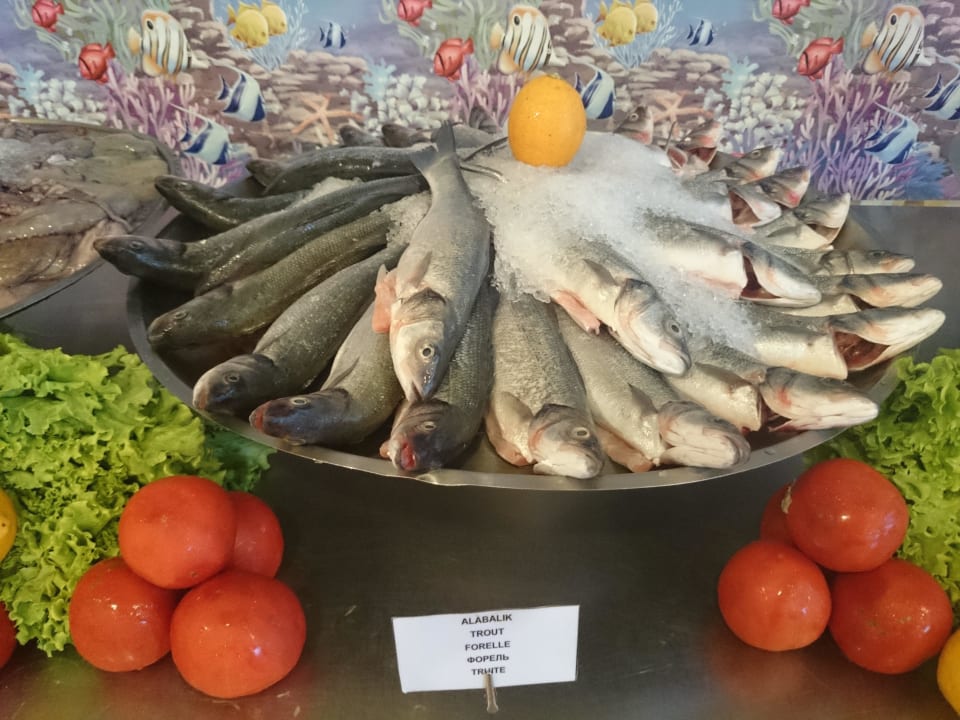 Fischabend Paloma Oceana