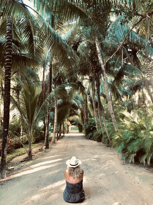 Gartenanlage Akumal Bay Beach & Wellness Resort