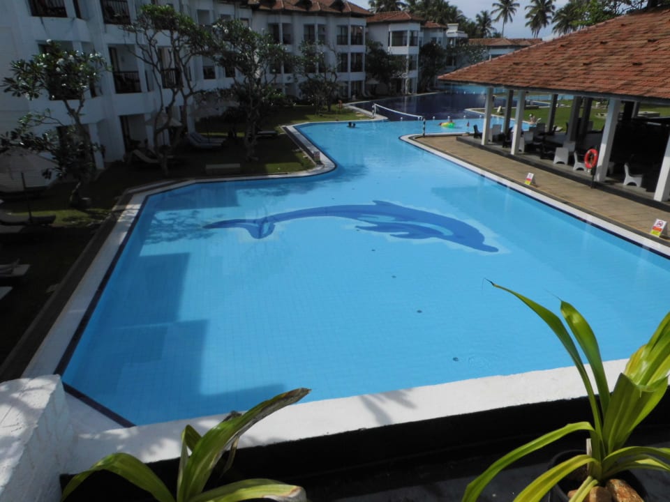 Pool Club Hotel Dolphin