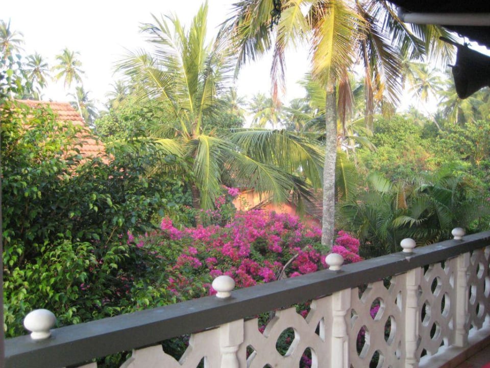 Gartenblick Wunderbar Beach Club Hotel