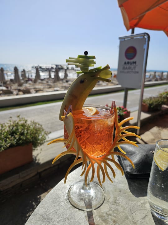 Gastro Arum Barut Collection