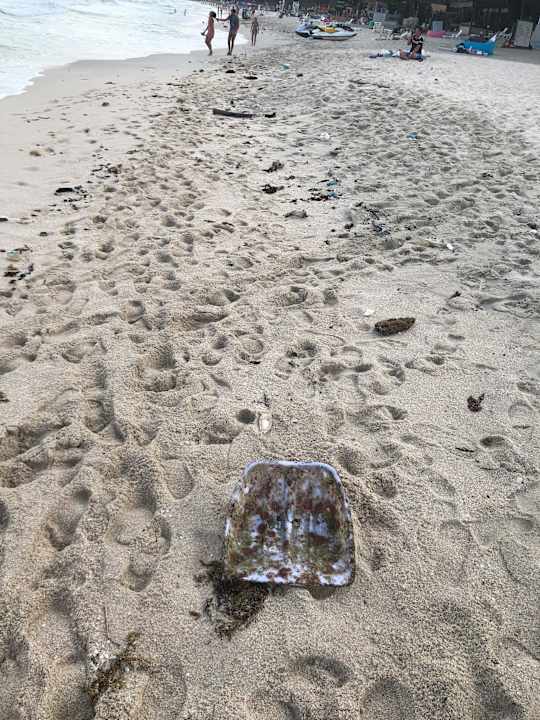 Strand Hotel Al's Hut