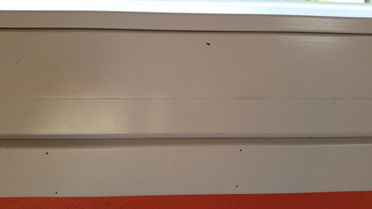 Zimmer Heide Park Holiday Camp