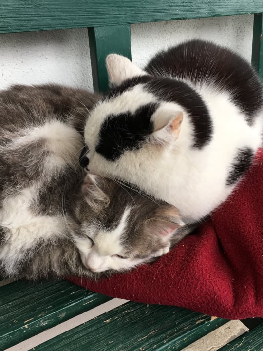 Sonstiges Ferienhof Schmid