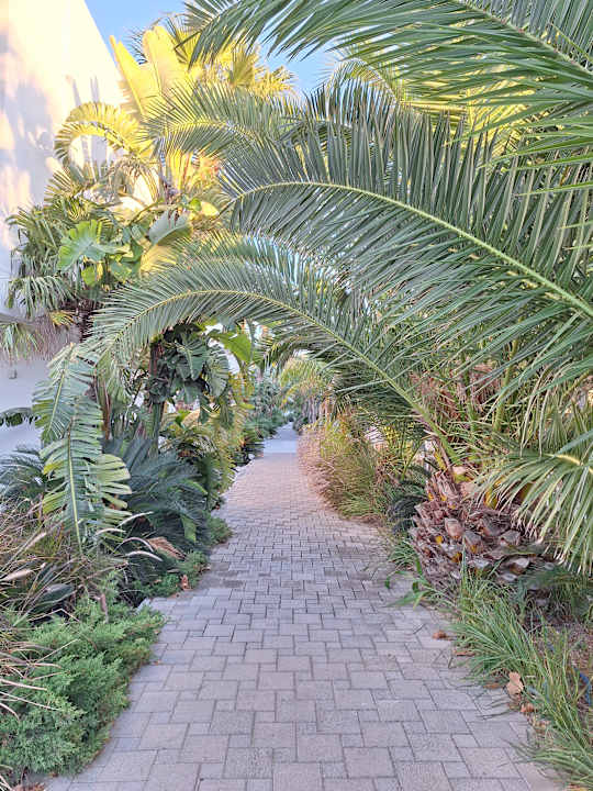 Gartenanlage White Dreams Resort & Anex