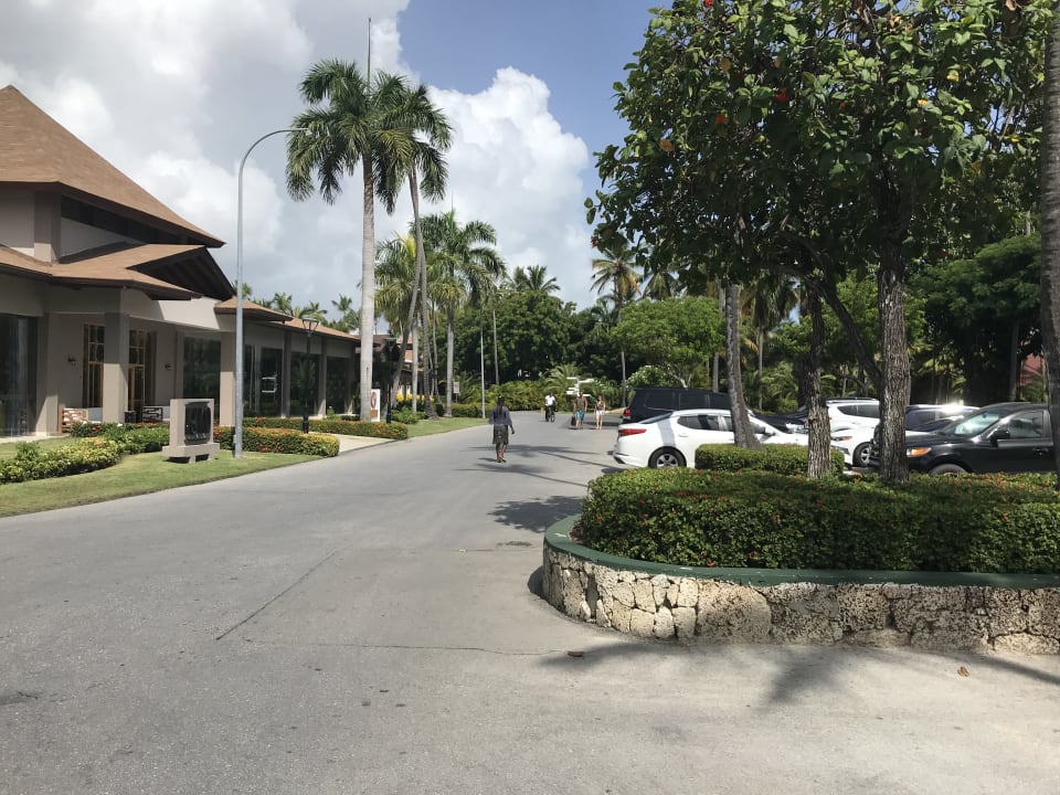 Gartenanlage Hotel Grand Palladium Palace Resort, Spa & Casino