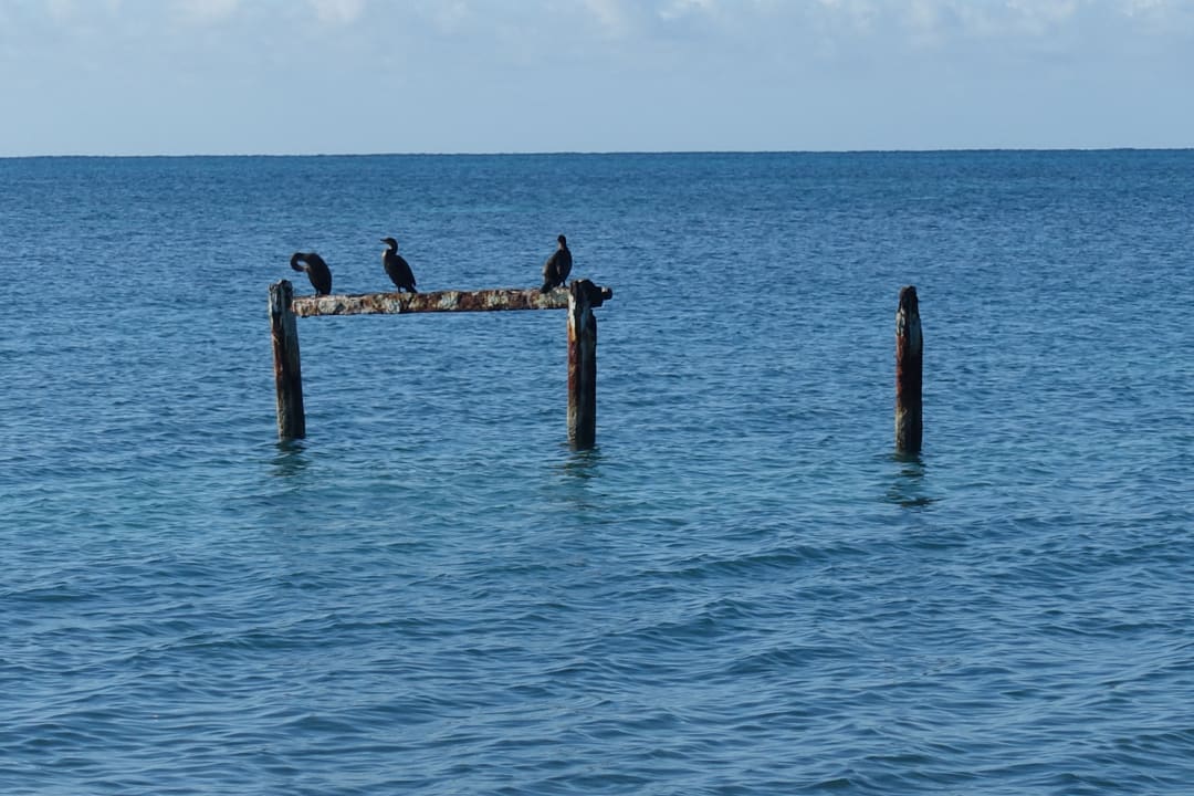 Ausblick Club Amigo Hotel Ancon