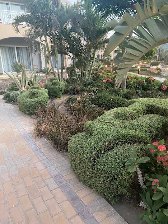 Gartenanlage Lazuli Hotel Marsa Alam