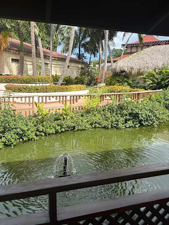 Gartenanlage Grand Palladium Punta Cana Resort & Spa